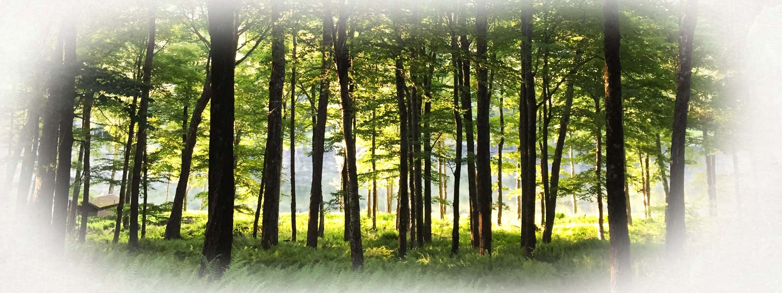 7 Day Mindfulness Challenge